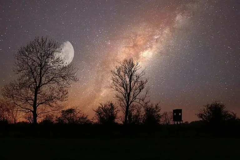 8 Best Night Vision Binoculars for Stargazing [Reviewed] DopeGuides