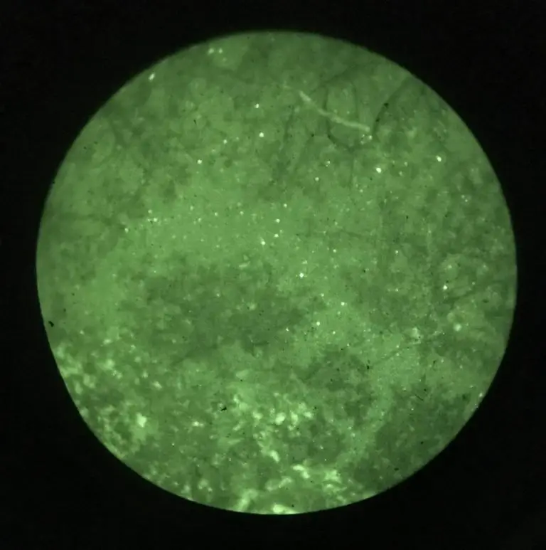 8 Best Night Vision Binoculars for Stargazing [Reviewed] DopeGuides