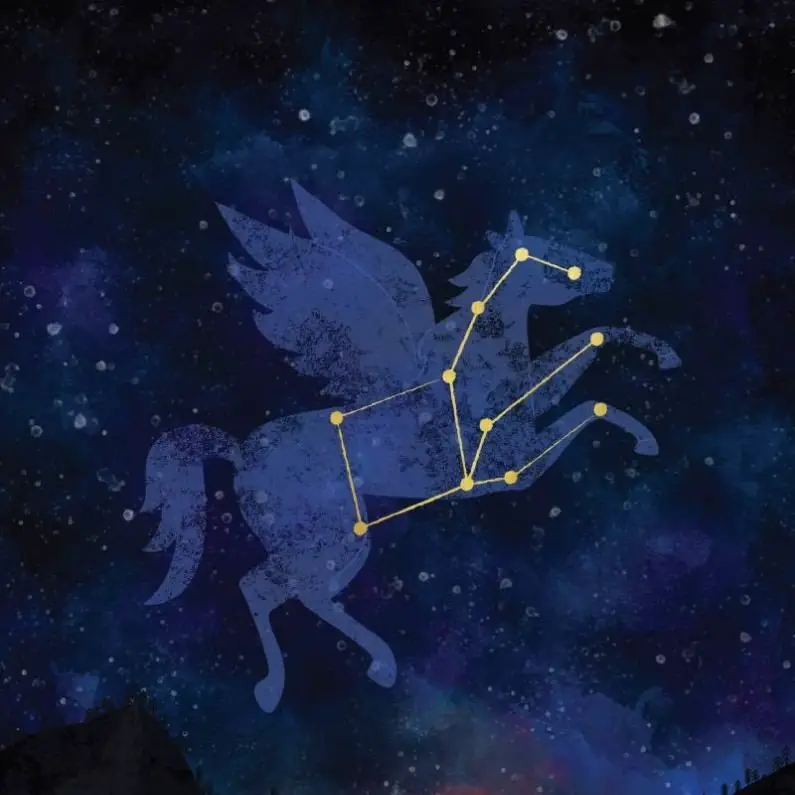 Winged Horse Constellation