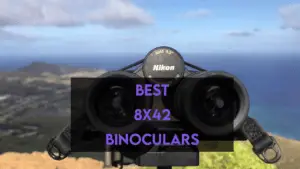 Best 8x42 Binoculars