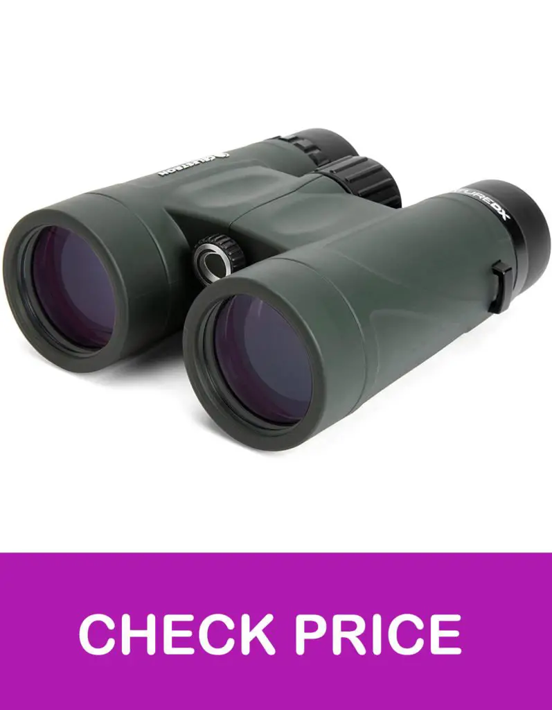 13 Best 10x42 Binoculars UK in 2021【Reviewed】 DopeGuides