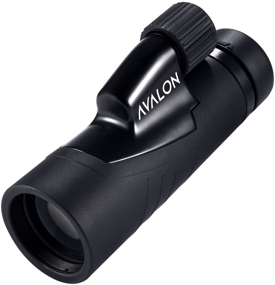 11 Best Monoculars for Bird Watching UK in 2022【Reviewed】