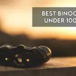 10 Best Binoculars Under £100 UK 【Reviewed 2022】