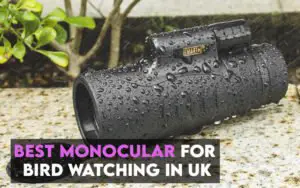 Best Monocular for Bird Watching UK