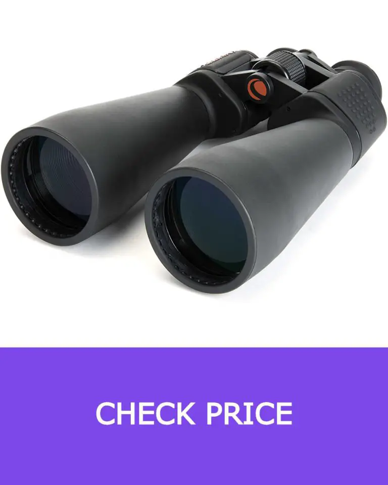 10 Best Binoculars Under £100 UK 【Reviewed 2022】 DopeGuides