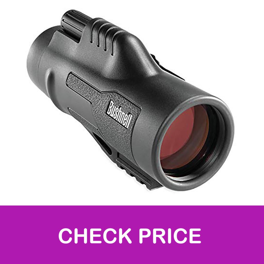 11 Best Monocular for Bird Watching in 2021 【Reviewed】 DopeGuides