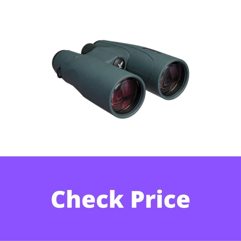 12 Best Swarovski Binoculars in 2022 【Reviewed】 DopeGuides