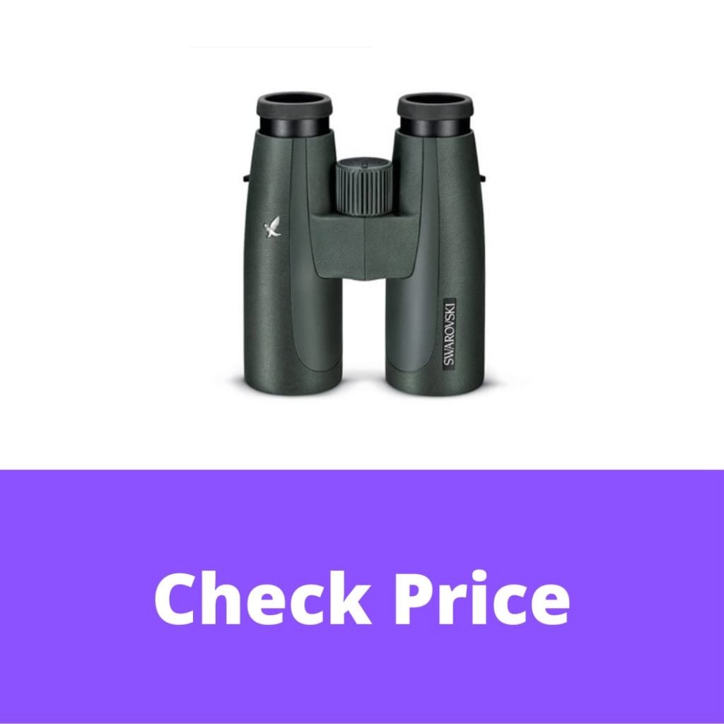 12 Best Swarovski Binoculars in 2022 【Reviewed】 DopeGuides