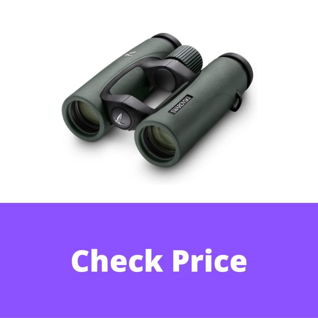 12 Best Swarovski Binoculars in 2022 【Reviewed】 DopeGuides