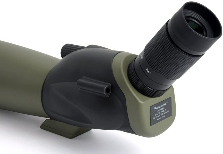 11 Best Monocular for Bird Watching in 2021 【Reviewed】 DopeGuides