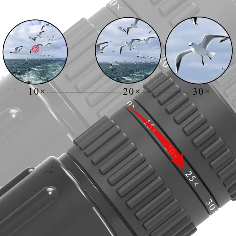 11 Best Monocular for Bird Watching in 2021 【Reviewed】 DopeGuides
