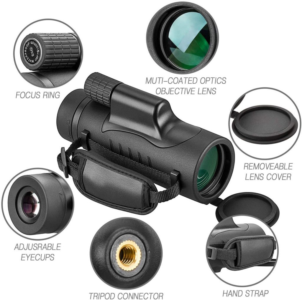 11 Best Monocular for Bird Watching in 2021 【Reviewed】 DopeGuides