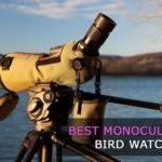 11 Best Monocular for Bird Watching in 2021 【Reviewed】