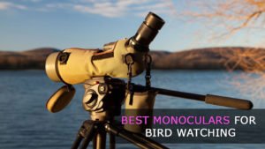 best monocular for bird watching