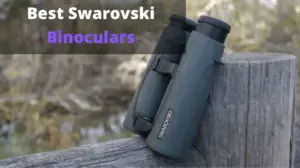 best swarovski binoculars