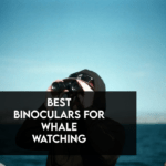 10 Best Binoculars For Whale Watching in 2022 【Affordable】